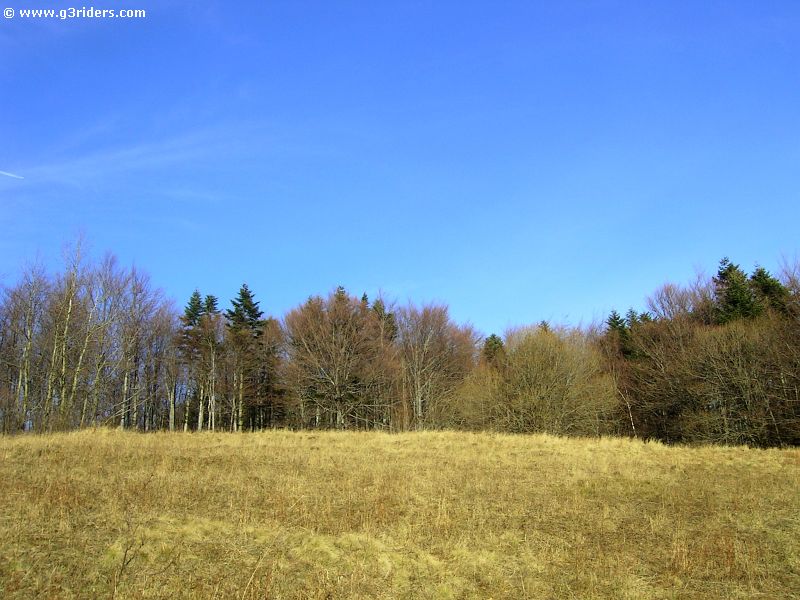 PICT9744_g3r