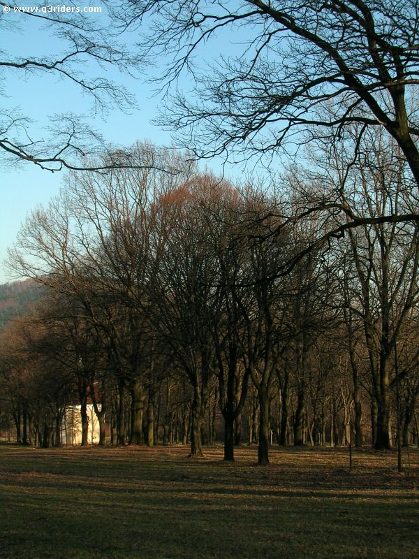 DSCN6203_g3r