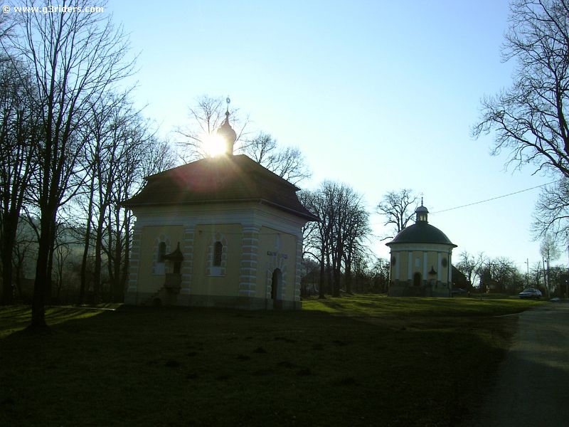 PICT9871_g3r