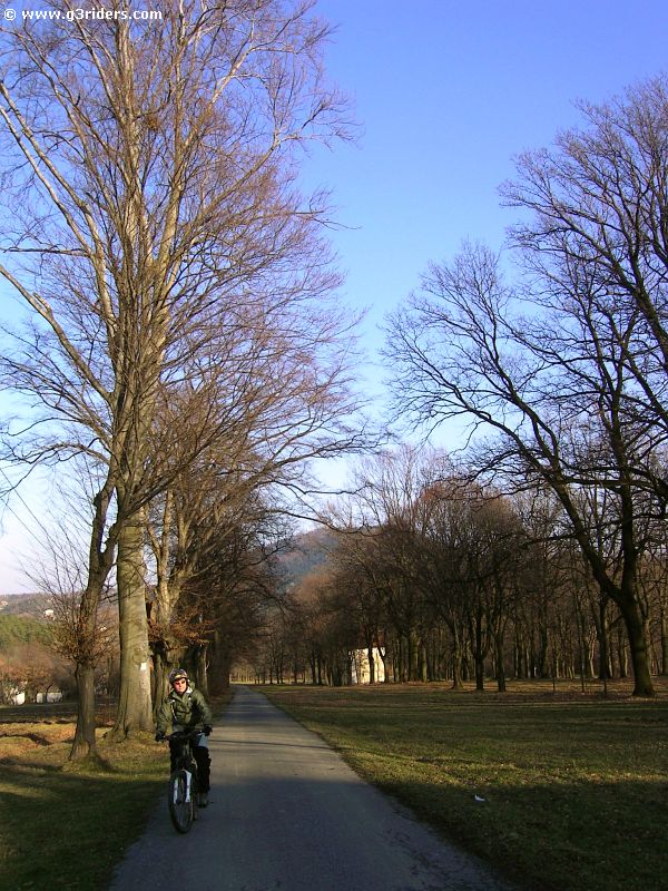 PICT9872_g3r
