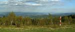 leskowiec_wyspowy_1280px