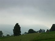 KLIKNIJ